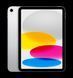 iPad 10.9 2022 Wi-Fi 256GB Silver (MPQ83) 000007058 фото 2